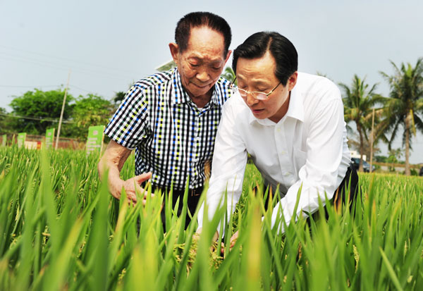 Minister of Agriculture Han Changfu (right) and agricultural scientist Yuan Longping, known as the 'father of hybrid rice', check a crop in Sanya, Hainan province, on April 9, 2013.  [Photo/China Daily]