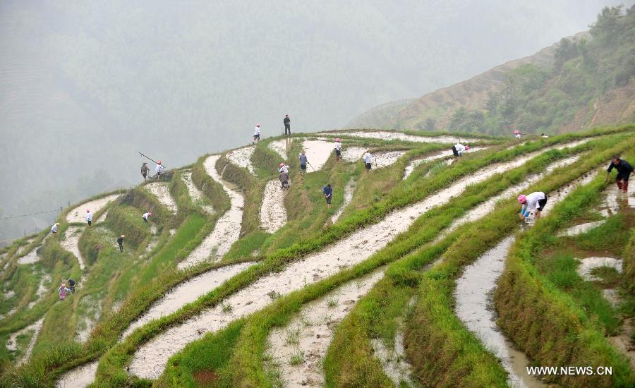 CHINA-GUANGXI-LONGJI-FARMING RITUAL (CN) 