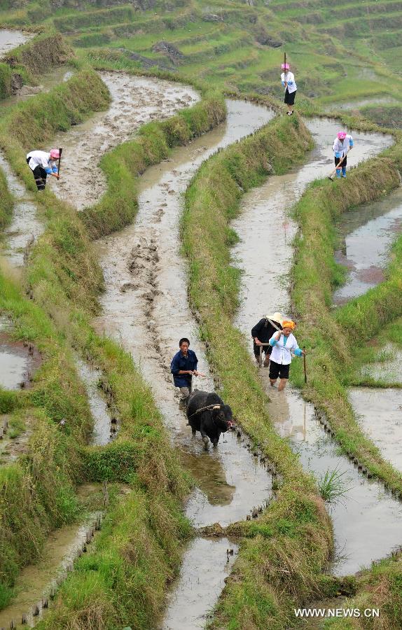 CHINA-GUANGXI-LONGJI-FARMING RITUAL (CN) 