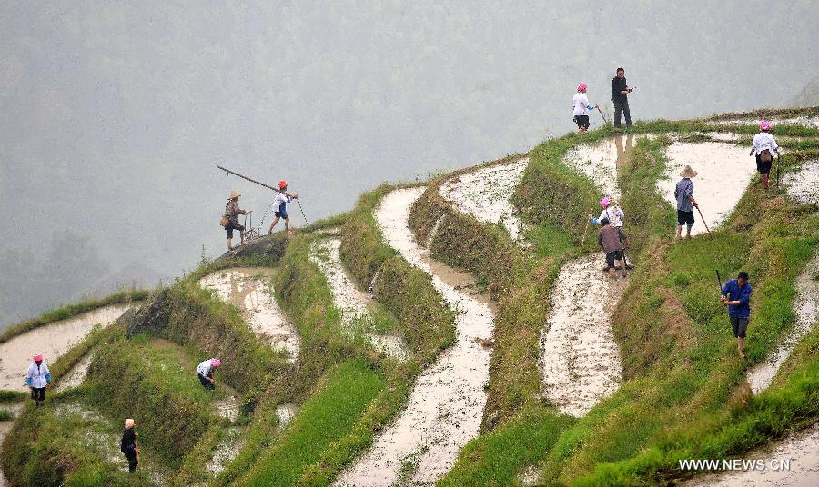 CHINA-GUANGXI-LONGJI-FARMING RITUAL (CN) 