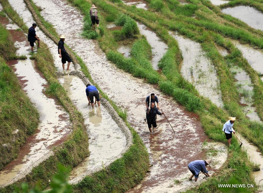 CHINA-GUANGXI-LONGJI-FARMING RITUAL (CN) 