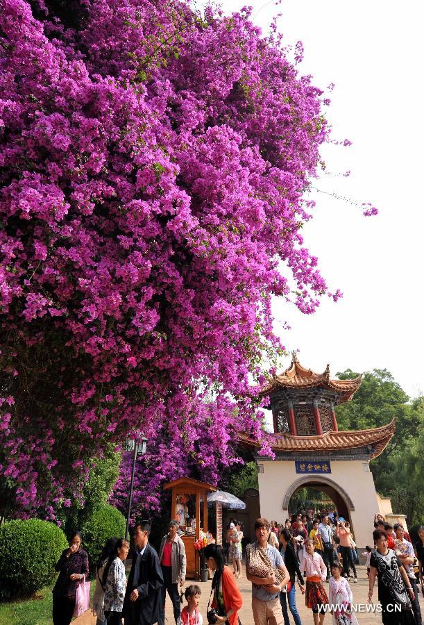 Tourists are seen in the Daguan Park in Kunming, capital of southwest China's Yunnan Province, April 30, 2013. Tourism boosted in Kunming during the three-day public holidays for the international workers' day on May 1. (Xinhua/Lin Yiguang)