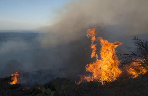 California Wildfire Forces Evacuation Of Campus, Homes - China.org.cn