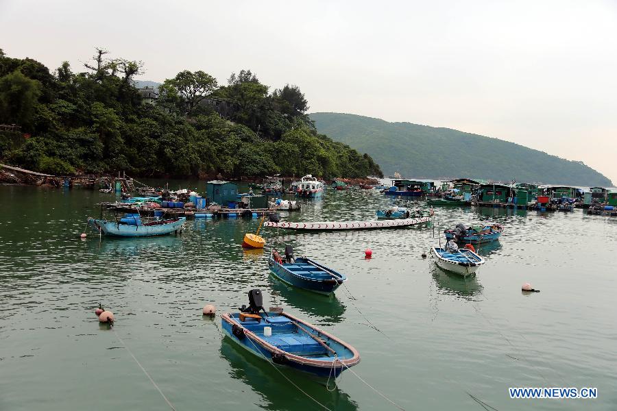 CHINA-HONG KONG-MA WAN-SCENERY (CN)