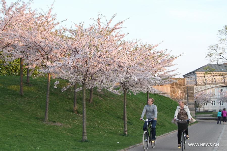 DENMARK-COPENHAGEN-SPRING