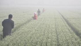 标题图片