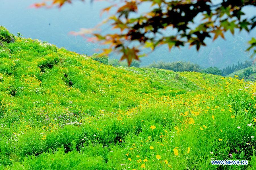 CHINA-FUJIAN-FUZHOU-FLOWER TERRACES(CN)