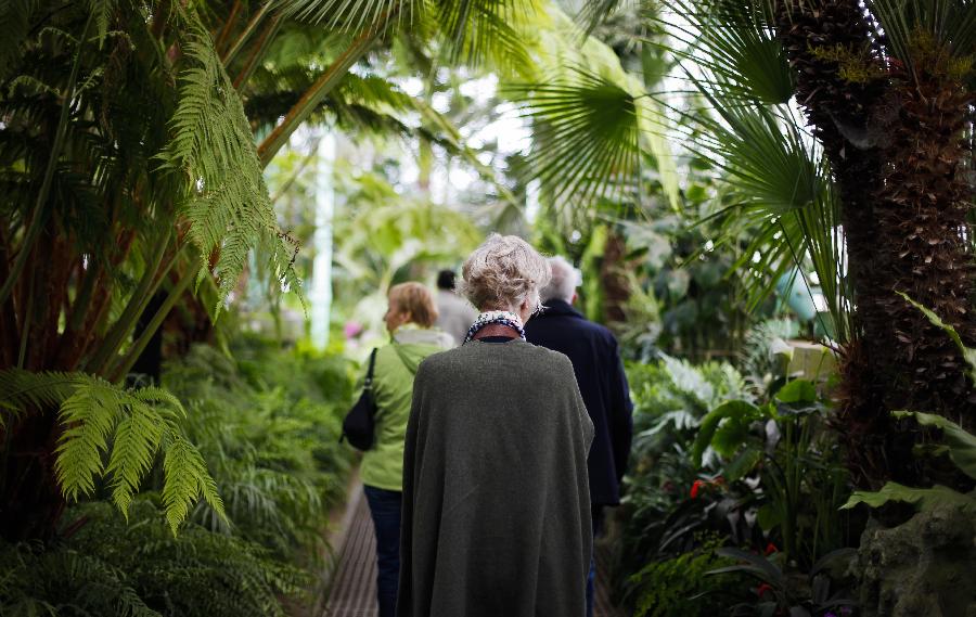 Gorgeous Royal Garden in Brussels