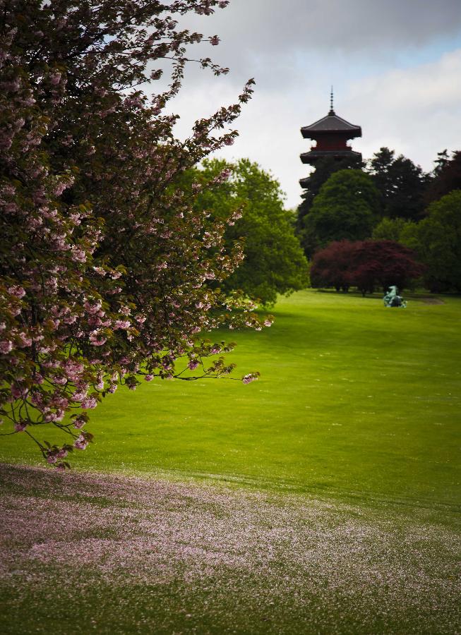 Gorgeous Royal Garden in Brussels