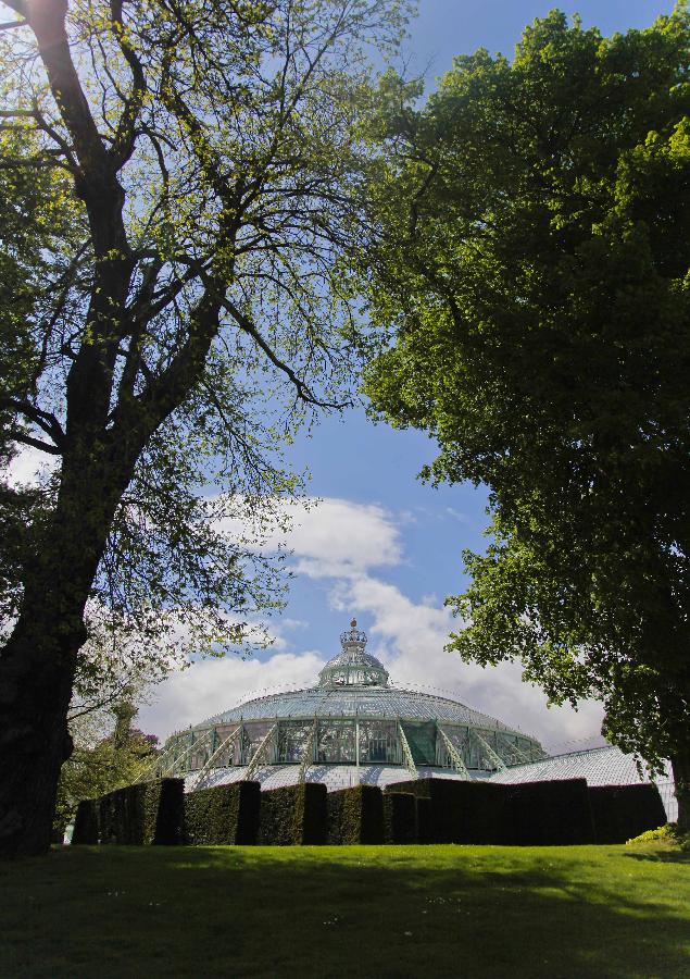 Gorgeous Royal Garden in Brussels