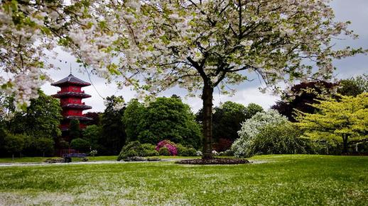 Gorgeous Royal Garden in Brussels