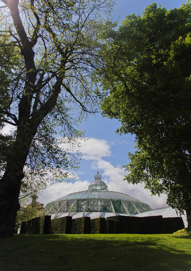 BELGIUM-BRUSSELS-ROYAL GARDEN