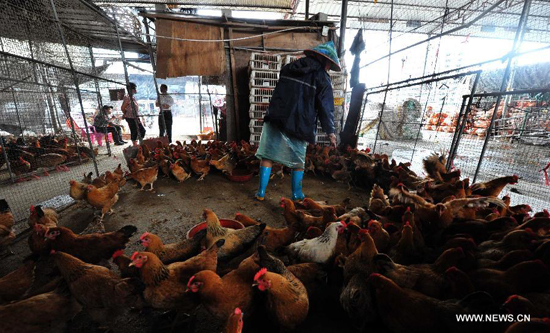 Hainan has taken measures to step up monitoring efforts so as to ensure the healthy development of poultry industry. [Photo/Xinhua] 