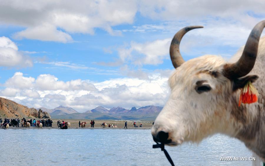 CHINA-TIBET-NAM CO-SCENERY (CN)