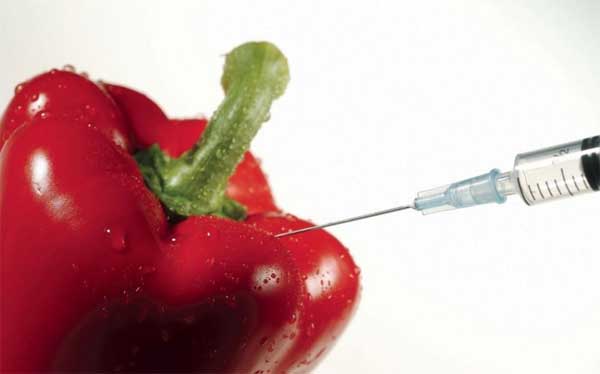 Food safety scandals in China have emerged one after another in recent years. [File photo] 