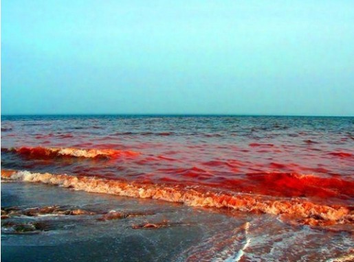 Increasing red tides Guangdong -