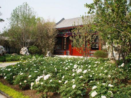 The grand opening of the Beijing Garden Expo is Saturday.