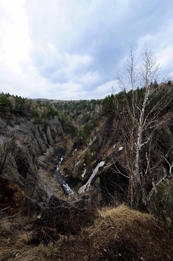 CHINA-CHANGCHUN-CHANGBAI MOUNTAIN(CN)