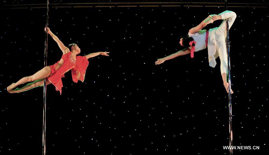 Dancers of China's National Pole Dancing Team perform in 'Fairies on the Pole,' the world's first pole dance drama, in Tianjin, north China, May 17, 2013. [Zhai Jianlan/Xinhua]