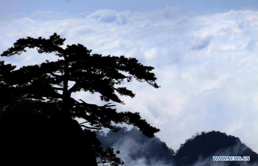 #CHINA-ANHUI-HUANGSHAN MOUNTAIN-SEA OF CLOUDS (CN) 