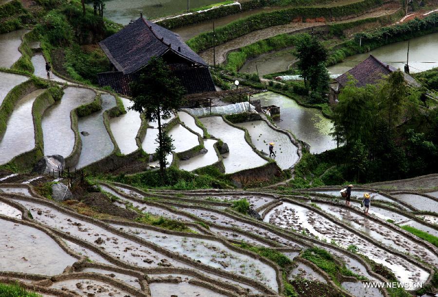 #CHINA-HUNAN-LOUDI-TERRACED FIELDS (CN)