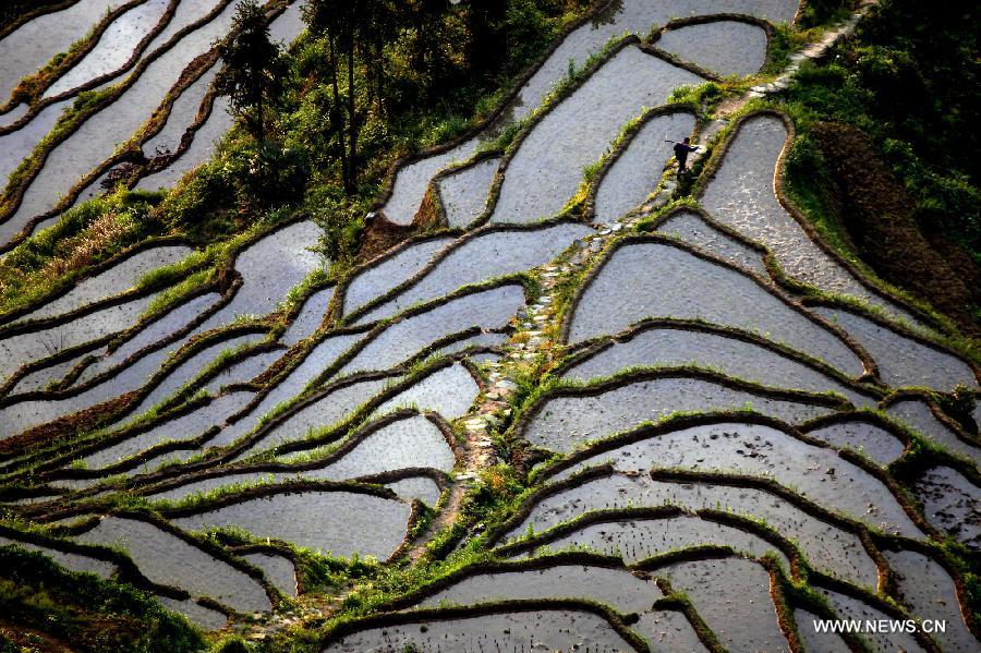 #CHINA-HUNAN-LOUDI-TERRACED FIELDS (CN)