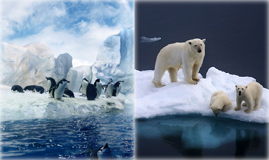 Arctic and Antarctica, one of the 'top 10 endangered attractions in the world' by China.org.cn.