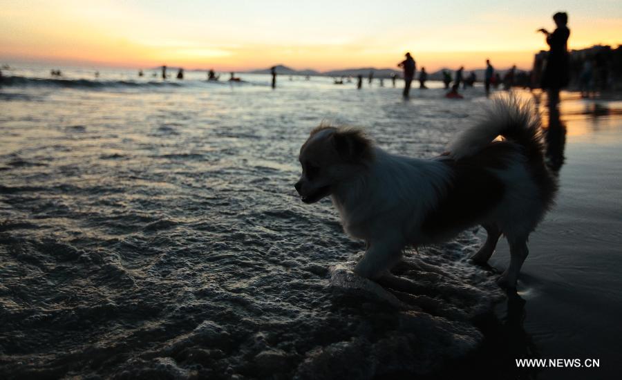 #CHINA-HAINAN-SANYA-SEASIDE (CN)