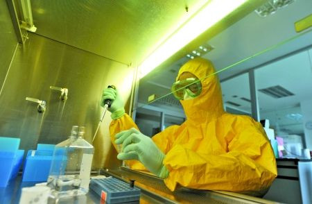 Scientists make new H7N9 claim.[File photo]