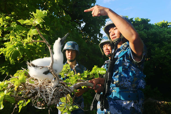 Navy soldiers stationed on East Island, the second largest of the Xisha Islands, play with a white gannet, a protected species, on Saturday. More than 40 species of birds live on East Island, known as 'the island of the birds'.[Photo / Xinhua]