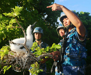 Cruises sail to Xisha Islands