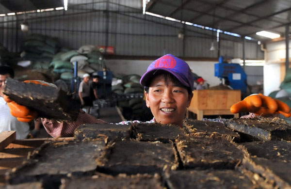 A worker checks bricks of compressed tea at a factory in Menghai county, Yunnan province, on May 19. The province is a major tea producer and boasts a few national names such as Pu'er.[Photo/Xinhua]