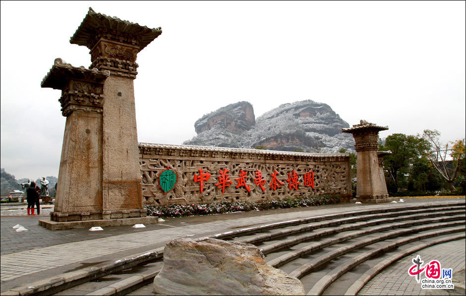 Captivating Wuyi Mountain in Fujian