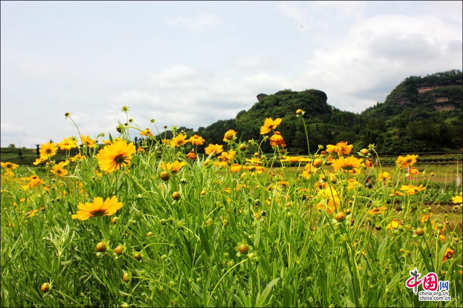 Captivating Wuyi Mountain in Fujian