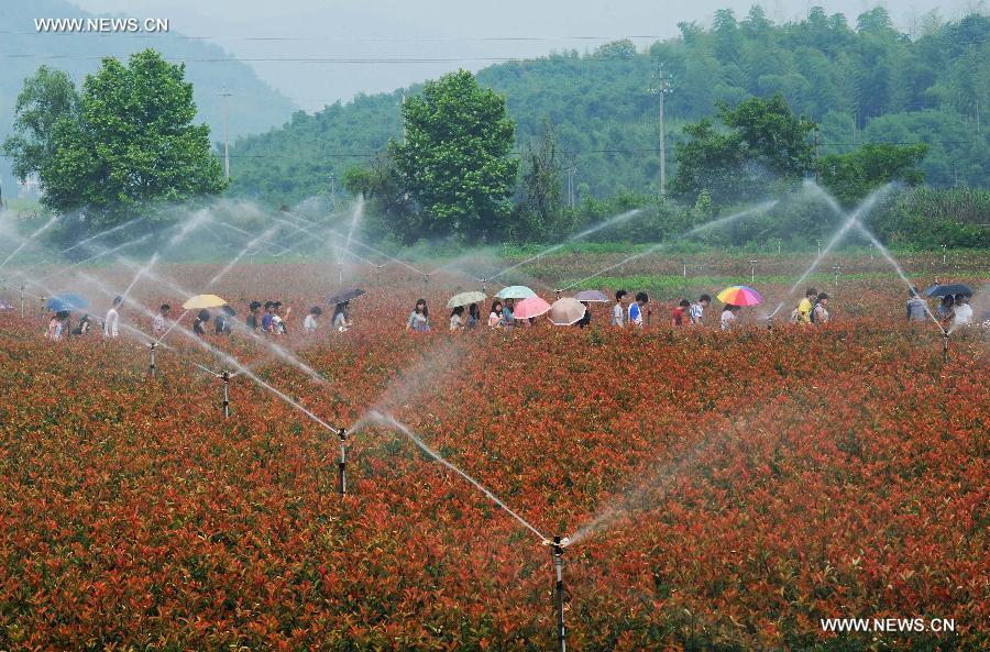 [FOCUS]CHINA-ZHEJIANG-ECO-AGRICULTURE-TOURISM (CN)