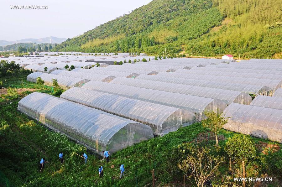 CHINA-ZHEJIANG-ECO-AGRICULTURE-TOURISM (CN)