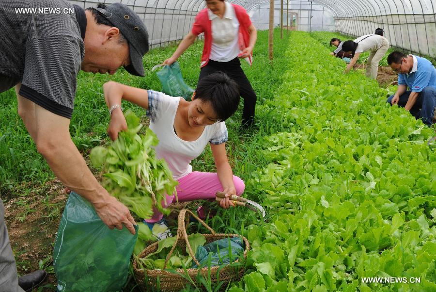 CHINA-ZHEJIANG-ECO-AGRICULTURE-TOURISM (CN)