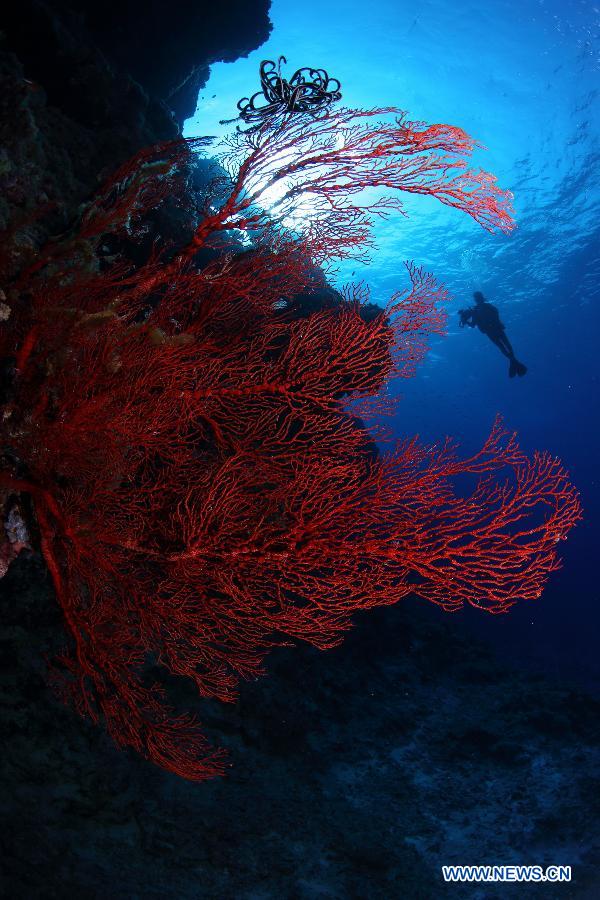 CHINA-HAINAN-XISHA ISLAND-SCENERY(CN)