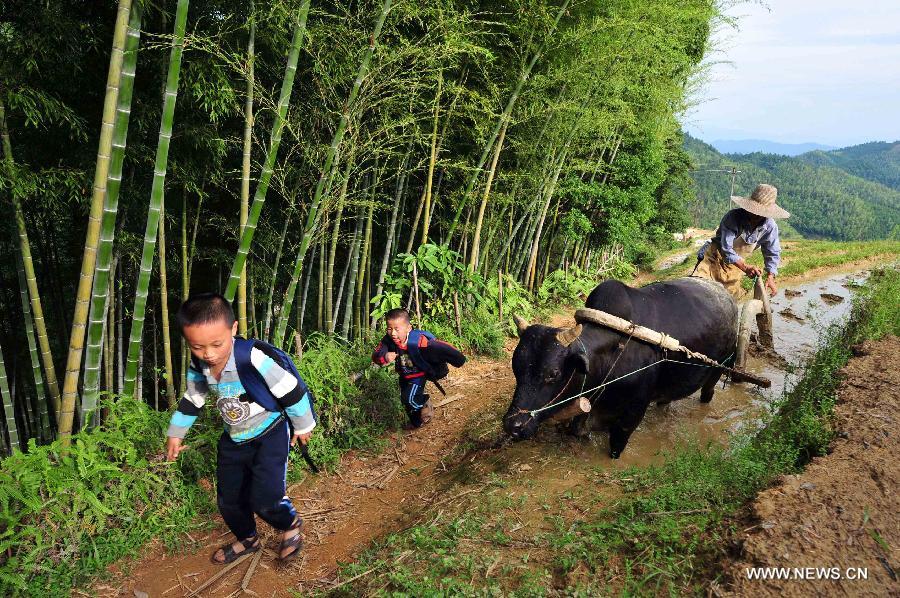 #CHINA-JIANGXI-CHONGYI COUNTY (CN)