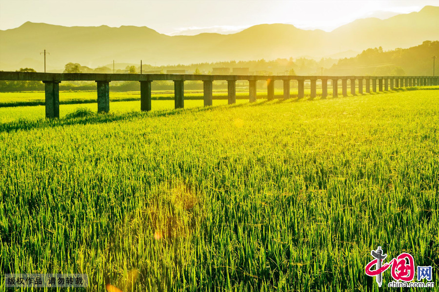 Photo taken on May 30, 2013 shows the beautiful pastoral scenery in Qiyang County, China's Hunan Province. [China.org.cn]