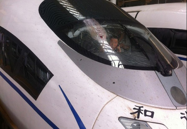 A shattered cockpit window caused by a bird strike forced a high-speed train from Hangzhou to Beijing to stop on Sunday morning. [Photo by Xiaoyaoyimei from Sina Weibo]