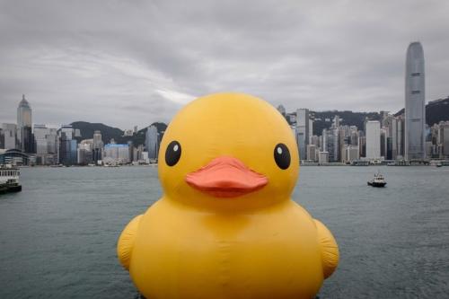 The first such duck, designed by Dutch artist Florentijn Hofman, can be seen floating in Hong Kong's Victoria Harbor.