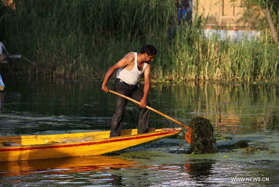 KASHMIR-SRINAGAR-WORLD ENVIRONMENT DAY