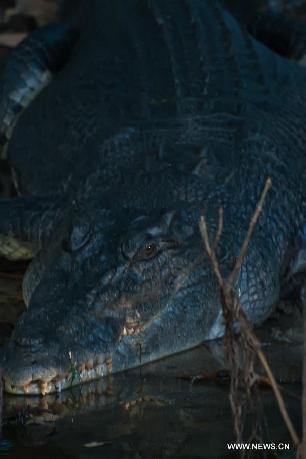 AUSTRALIA-KAKADU NATIONAL PARK