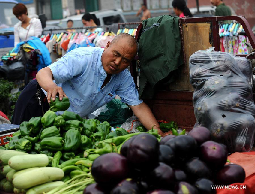 A vendor organizes his vegetables in a market in Taigu County, north China&apos;s Shanxi Province, June 7, 2013. China&apos;s consumer price index (CPI), a main gauge of inflation, grew 2.1 percent year on year in May, down from 2.4 percent in April, the National Bureau of Statistics said on Sunday.