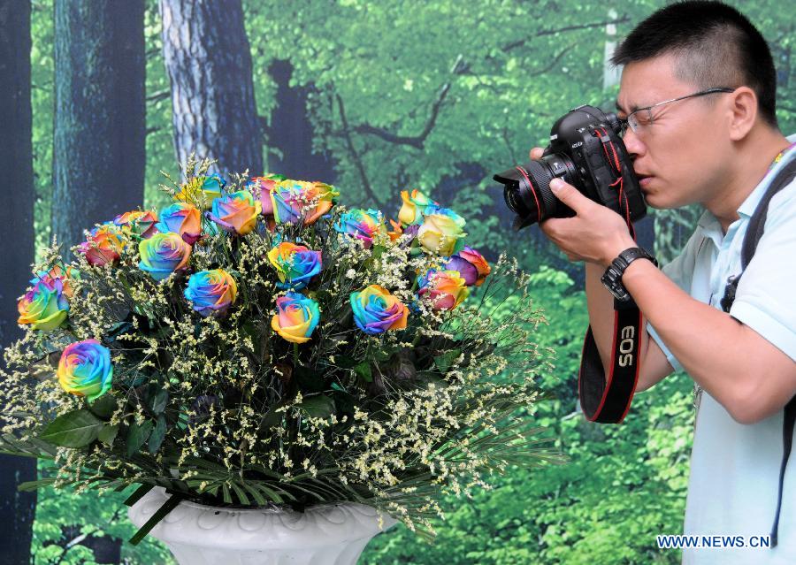 #CHINA-BEIJING-GARDEN EXPO-COLOURFUL ROSES(CN)