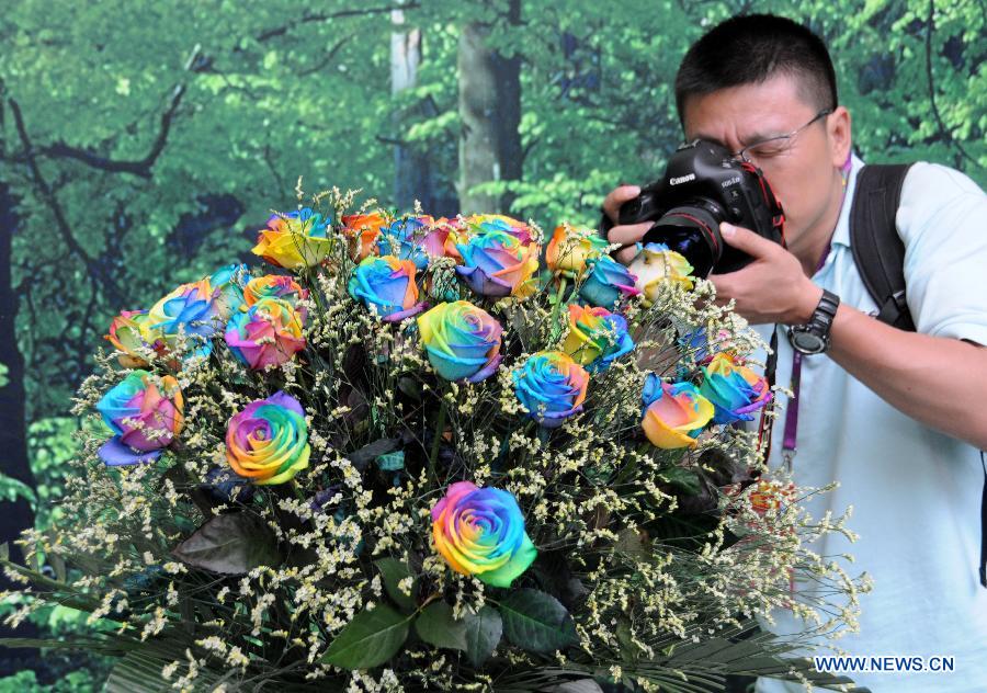 #CHINA-BEIJING-GARDEN EXPO-COLOURFUL ROSES(CN)