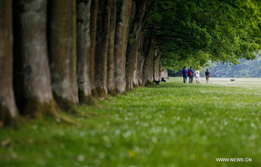 BELGIUM-BRUSSELS-SUMMER-DAILY LIFE