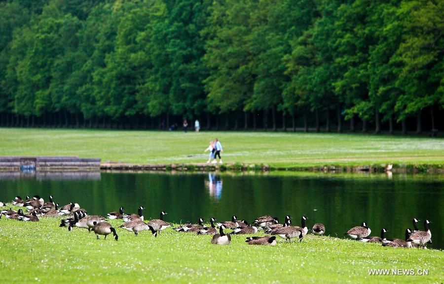 BELGIUM-BRUSSELS-SUMMER-DAILY LIFE