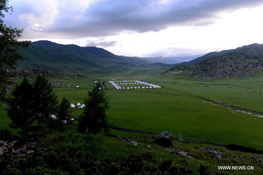 CHINA-XINJIANG-BURQIN-ARGONNE GHET GRASSLAND-SCENERY (CN) 